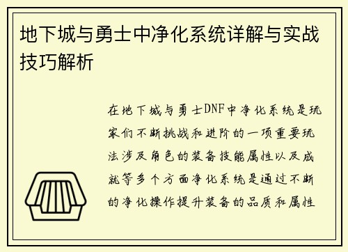 地下城与勇士中净化系统详解与实战技巧解析